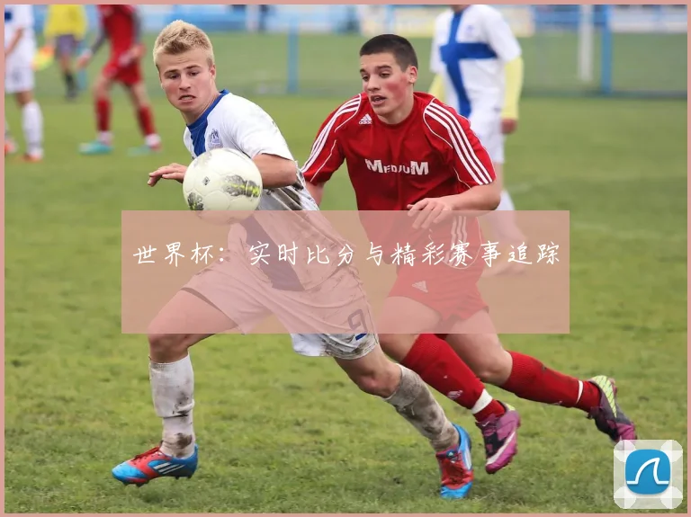 世界杯:实时比分与精彩赛事追踪